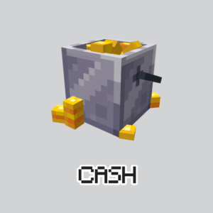 25.000 bcash